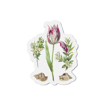 Tulip, Branches of Myrtle, and Shells by Maria Sibylla Merian Die-Cut Magnets (5 Sizes)