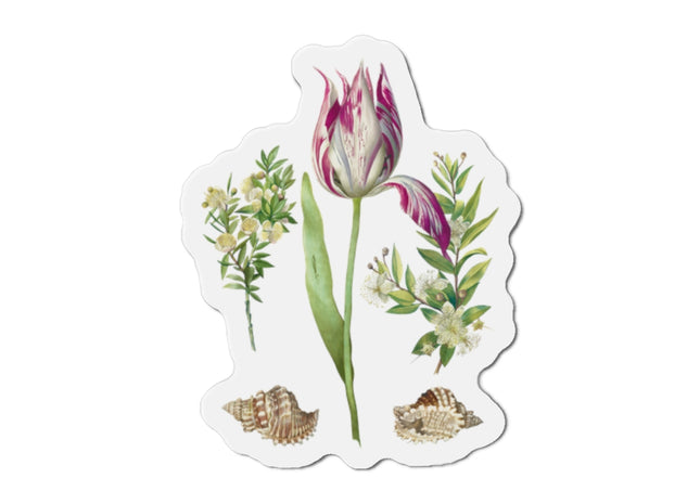 Tulip, Branches of Myrtle, and Shells by Maria Sibylla Merian Die-Cut Magnets (5 Sizes)