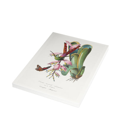 Hummingbird by Paul Gervais Postcards (envelopes included) - Bundles of 10, 30, 50 Pieces