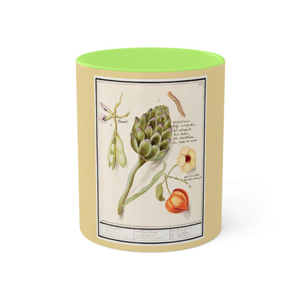 Artichoke, Broad Beans, and Lantern Plant by Anselmus Boëtius de Boodt Colorful Mugs, 11oz