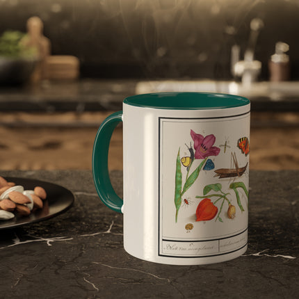 Natural History Ensemble, No. 17 by Anselmus Boëtius de Boodt Colorful Mugs, 11oz