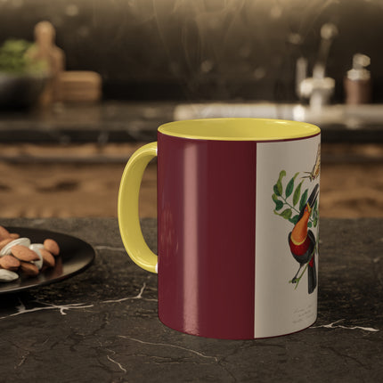 Channel Billed Toucan by Paul Gervais Colorful Mugs, 11oz