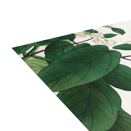 Clerodendrum & Rudbeckia by Tanigami Kônan Postcards (envelopes included) - Bundles of 10, 30, 50 Pieces