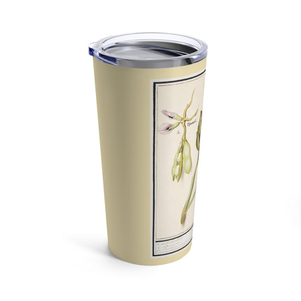 Artichoke, Broad Beans, and Lantern Plant by Anselmus Boëtius de Boodt Tumbler 20oz