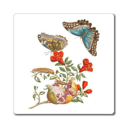 Blue Butterflies and Pomegranate by Maria Sibylla Merian Magnets (3 Sizes)
