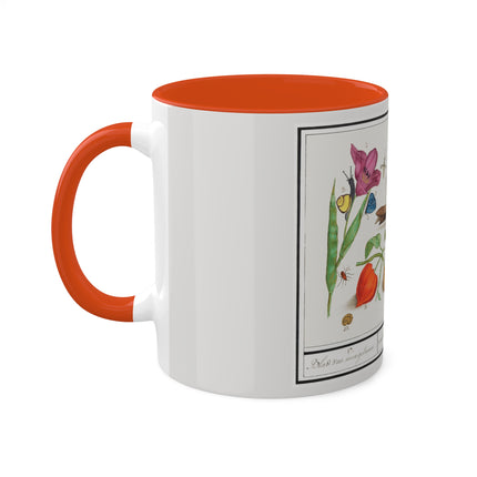 Natural History Ensemble, No. 17 by Anselmus Boëtius de Boodt Colorful Mugs, 11oz