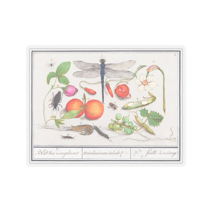 Natural History Ensemble, No. 7 by Anselmus Boëtius de Boodt Kiss-Cut Stickers (4 Sizes)