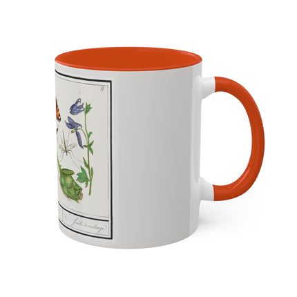 Natural History Ensemble, No. 17 by Anselmus Boëtius de Boodt Colorful Mugs, 11oz