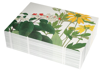 Clerodendrum & Rudbeckia by Tanigami Kônan Postcards (envelopes included) - Bundles of 10, 30, 50 Pieces