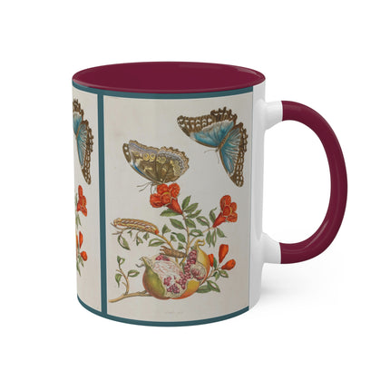 Blue Butterflies and Pomegranate by Maria Sibylla Merian Colorful Mugs, 11oz