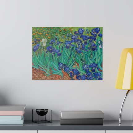 Irises by Vincent Van Gogh Matte Canvas, Stretched, 0.75"