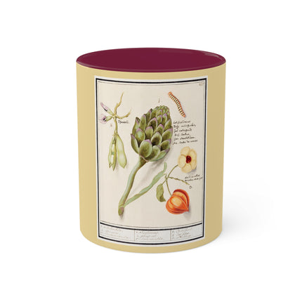 Artichoke, Broad Beans, and Lantern Plant by Anselmus Boëtius de Boodt Colorful Mugs, 11oz