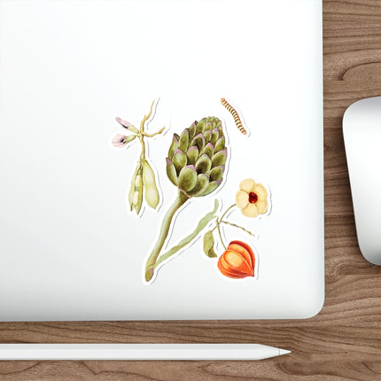 Artichoke, Cynara scolymus, broad beans, Vicia faba and lampion plant, Physalis by Anselmus Boëtius de Boodt Die-Cut Stickers (5 Sizes)