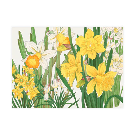 Daffodil by Tanigami Kônan Postcards (envelopes included) - Bundles of 10, 30, 50 Pieces