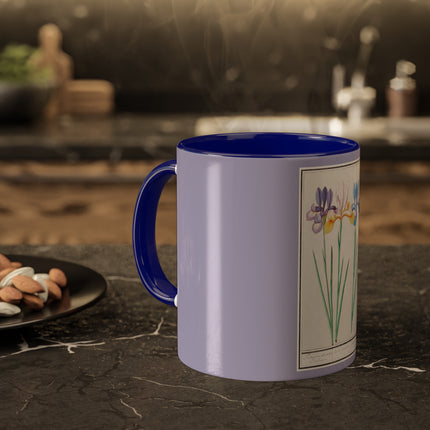Iris, Iris sibirica by Anselmus Boëtius de Boodt Colorful Mugs, 11oz