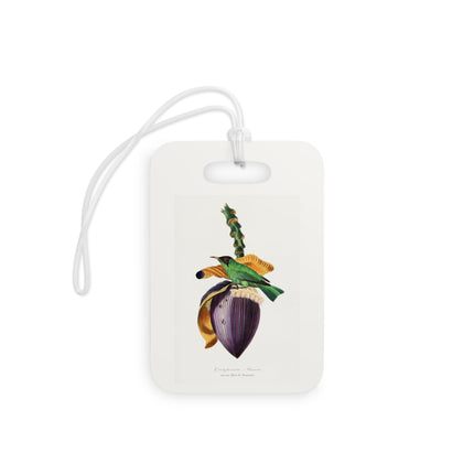 Treecreeper by Paul Gervais Luggage Tag – Rectangle & Round