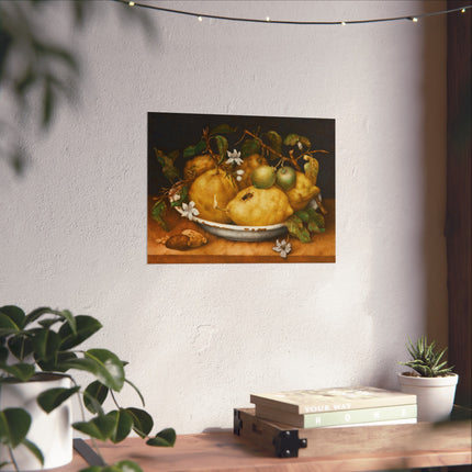Still Life with Bowl of Citrons by Giovanna Garzoni Matte Horizontal Posters