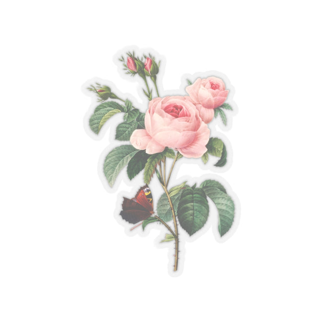 Cabbage Rose botanical illustration by Pierre-Joseph Redouté Kiss-Cut Stickers (4 Sizes)