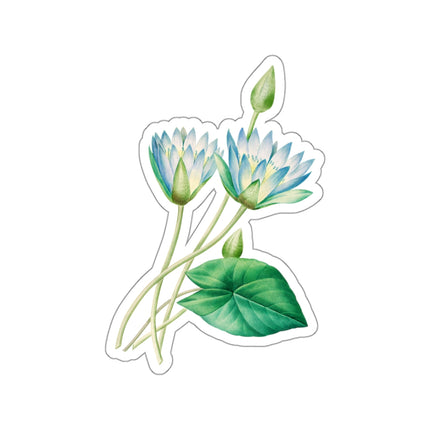 Egyptian lotus flower botanical illustration by Pierre-Joseph Redouté Kiss-Cut Stickers (4 Sizes)