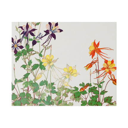 Aquilegia Flower by Tanigami Kônan – Japanese Botanical Art
