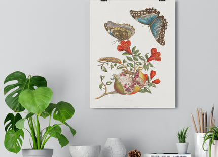 Blue Butterflies and Pomegranate Giclée Art Print