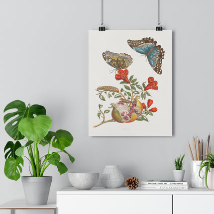 Blue Butterflies and Pomegranate Giclée Art Print
