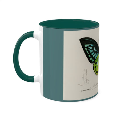 Green Birdwing by Charles Dessalines D' Orbigny Colorful Mugs, 11oz