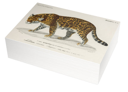 Jaguar by Charles Dessalines D'Orbigny Postcards (envelopes included) - Bundles of 10, 30, 50 Pieces