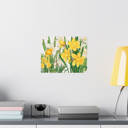 Daffodil by Tanigami Kônan Premium Matte horizontal posters