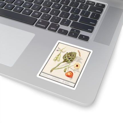 Artichoke, Cynara scolymus, broad beans, Vicia faba and lampion plant, Physalis by Anselmus Boëtius de Boodt Kiss-Cut Stickers (4 Sizes)