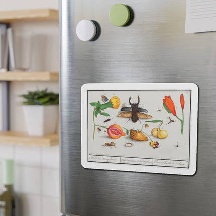 Natural History Ensemble, No. 1 Die-Cut Magnets (5 Sizes)