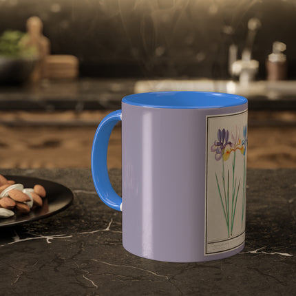 Iris, Iris sibirica by Anselmus Boëtius de Boodt Colorful Mugs, 11oz
