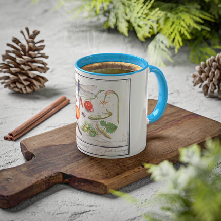 Natural History Ensemble, No. 7 by Anselmus Boëtius de Boodt Colorful Mugs, 11oz