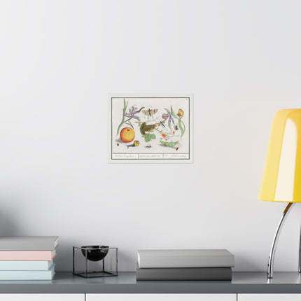 Natural History Ensemble, No. 12 by Anselmus Boëtius de Boodt Matte Horizontal Posters