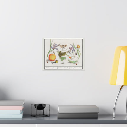 Natural History Ensemble, No. 12 by Anselmus Boëtius de Boodt Matte Horizontal Posters