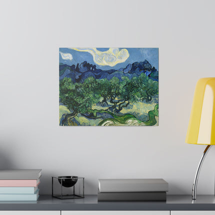 Olive Trees by Vincent Van Gogh Matte Canvas, Stretched, 0.75"