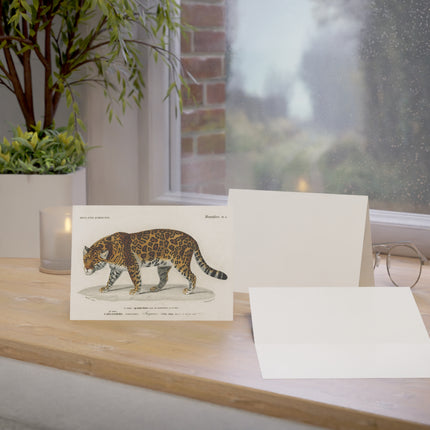 Jaguar by Charles Dessalines D' Orbigny Greeting Cards (1, 10, 30, and 50pcs)