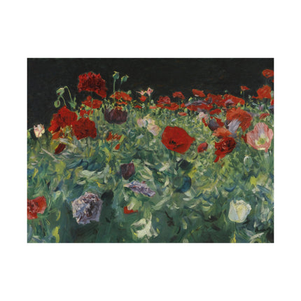 Poppies (A Study of Poppies for Carnation, Lily, Lily, Rose) by John Singer Sargent Matte Horizontal Posters