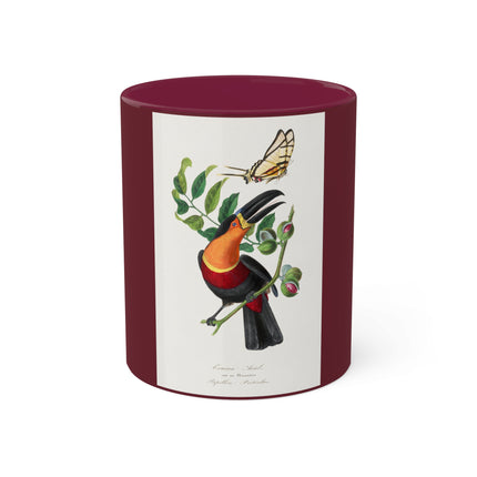 Channel Billed Toucan by Paul Gervais Colorful Mugs, 11oz