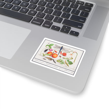 Natural History Ensemble, No. 7 by Anselmus Boëtius de Boodt Kiss-Cut Stickers (4 Sizes)