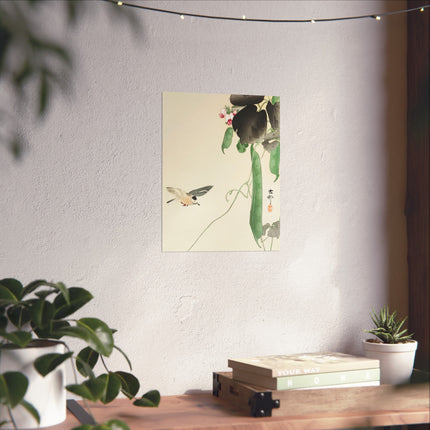 Bird at Flowering Bean Plant by Ohara Koson Fine Art Posters