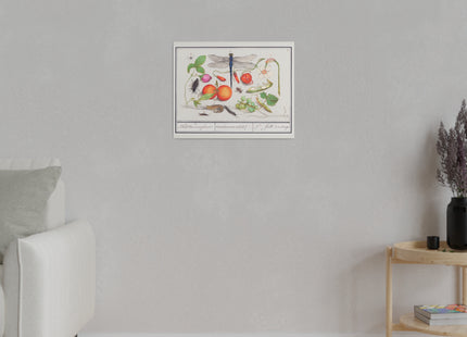 Natural History Ensemble, No. 7 by Anselmus Boëtius de Boodt Matte Matte Canvas, Stretched, 0.75"
