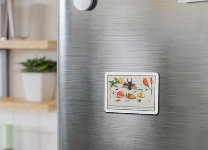 Natural History Ensemble, No. 1 Die-Cut Magnets (5 Sizes)