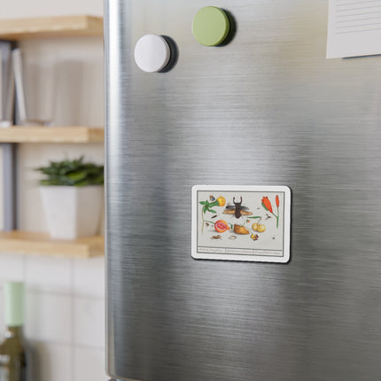 Natural History Ensemble, No. 1 Die-Cut Magnets (5 Sizes)