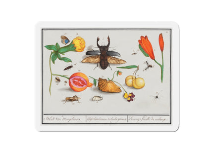 Natural History Ensemble, No. 1 Die-Cut Magnets (5 Sizes)