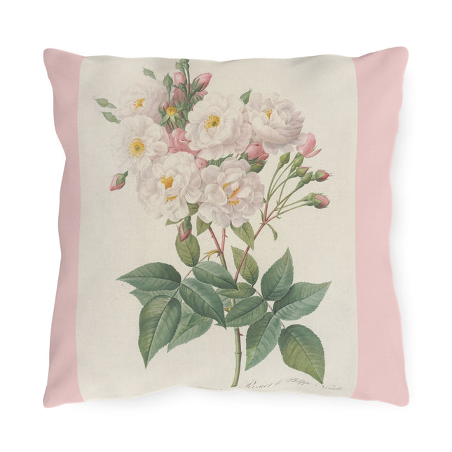 Rosa Noisettiana by Pierre Joseph Redouté  Outdoor Pillows
