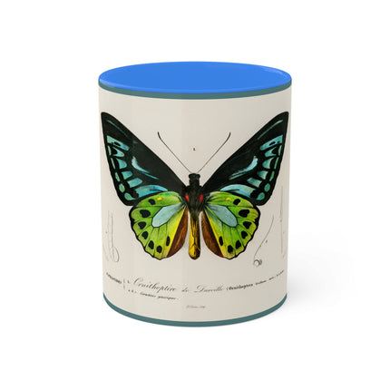 Green Birdwing by Charles Dessalines D' Orbigny Colorful Mugs, 11oz