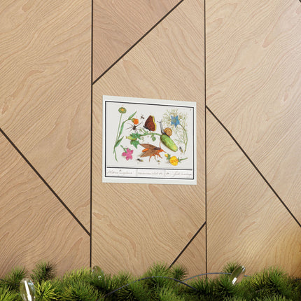 Natural History Ensemble, no. 3 by Anselmus Boëtius de Boodt Matte Horizontal Posters