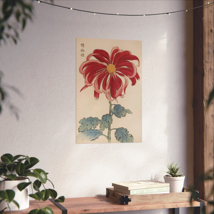 Chrysanthemum Elegance Fine Art Posters