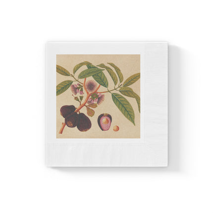 Album of watercolors of Asian fruits and flowers Pl.05 by Anonymous White Coined Napkins